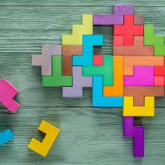 Science summer term activities and quizzes